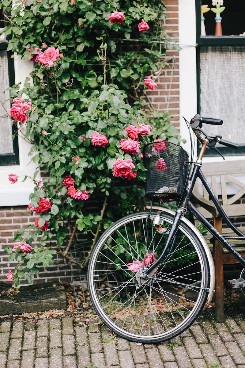 Vintage Vibes